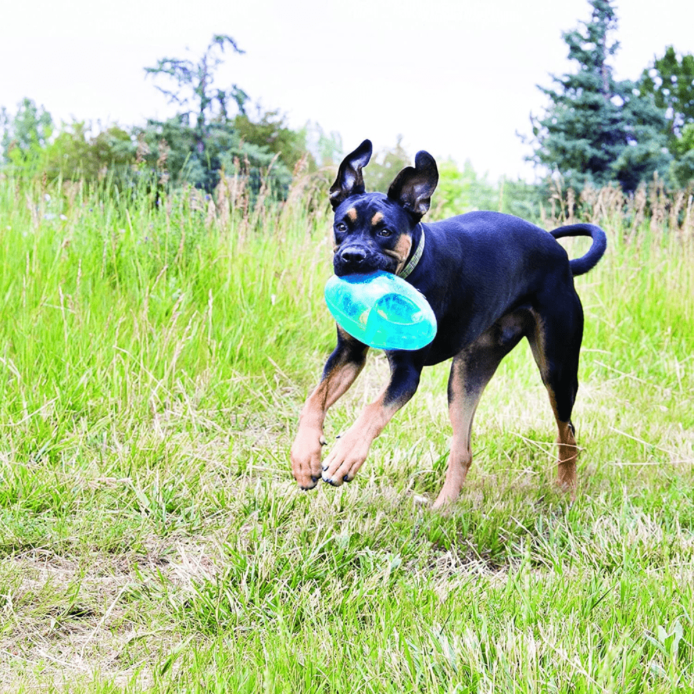 Kong Jumbler Football Toy for Dogs (Purple) image 4