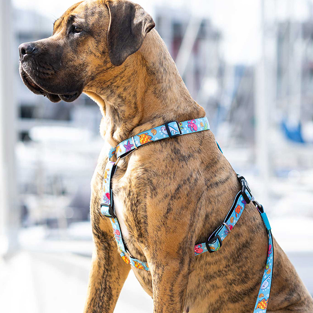 Max & Molly Blue Ocean Harness for Dogs (Blue) image 4