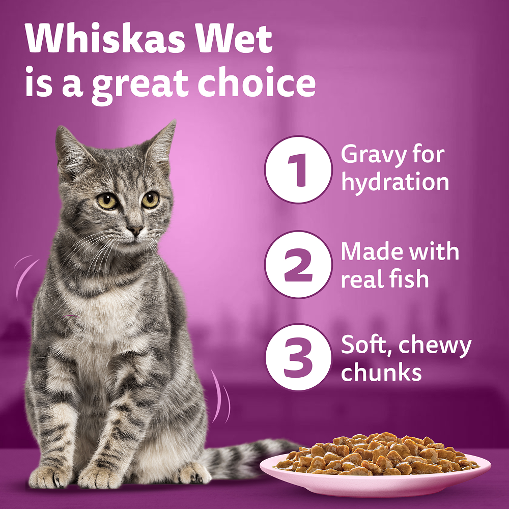 Whiskas Salmon in Gravy Meal Adult Cat Wet Food image 9