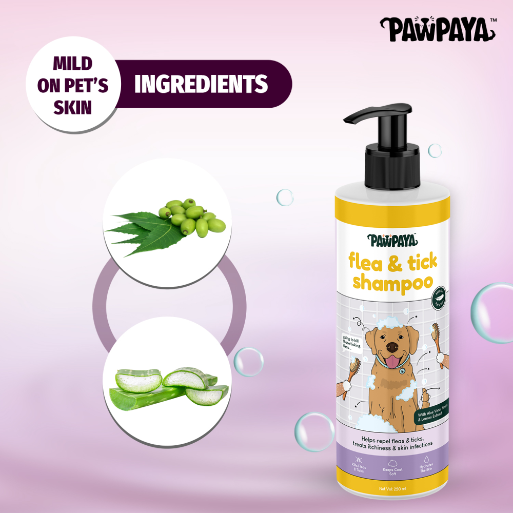 Pawpaya Flea & Tick Shampoo for Dogs image 5