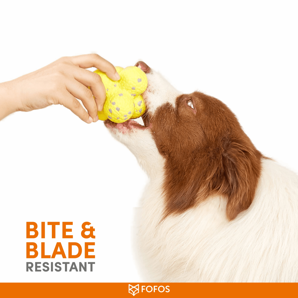 Barkbutler x Fofos Ultra Durable Ball Toy for Dogs (Yellow) image 3