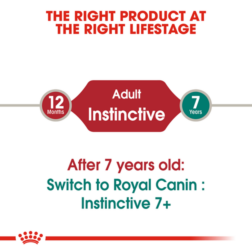 Royal Canin Instinctive Adult Loaf Cat Wet Food image 5