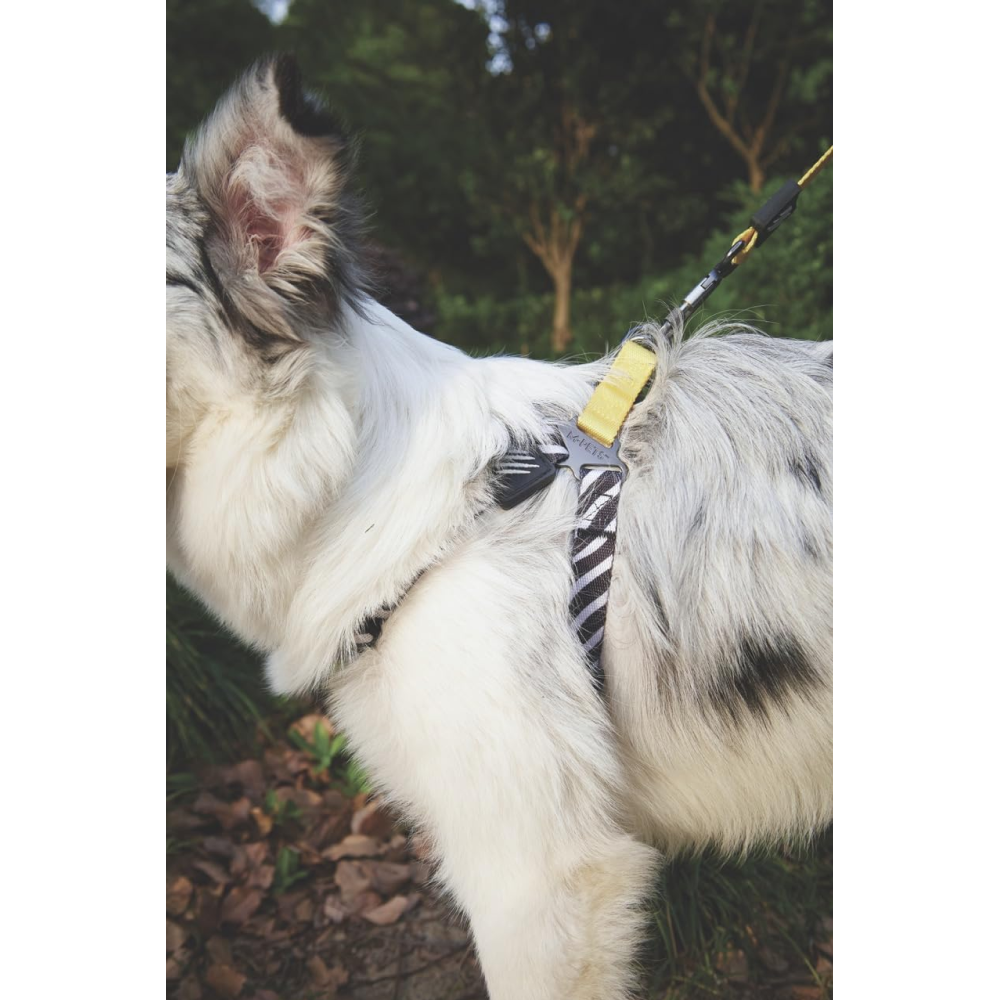M Pets Wild Safari Harness for Dogs image 2