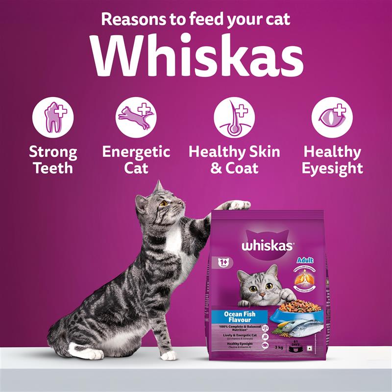 Whiskas Ocean Fish Flavour Dry Food & Petkit Freshelement Solo Automatic 2.4G WiFi Food Dispenser Adult Cat Combo image 7