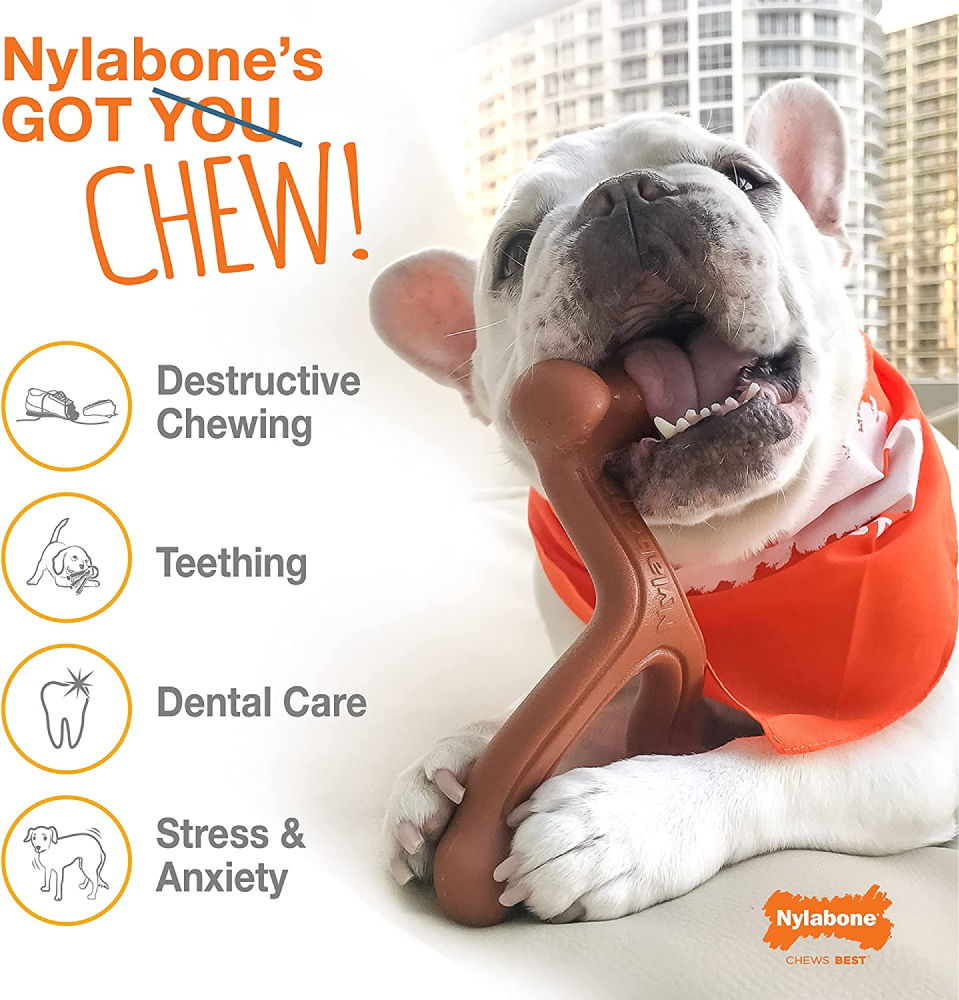 Nylabone Beef Flavor Power Chew Femur Dog Bone for Dogs image 7