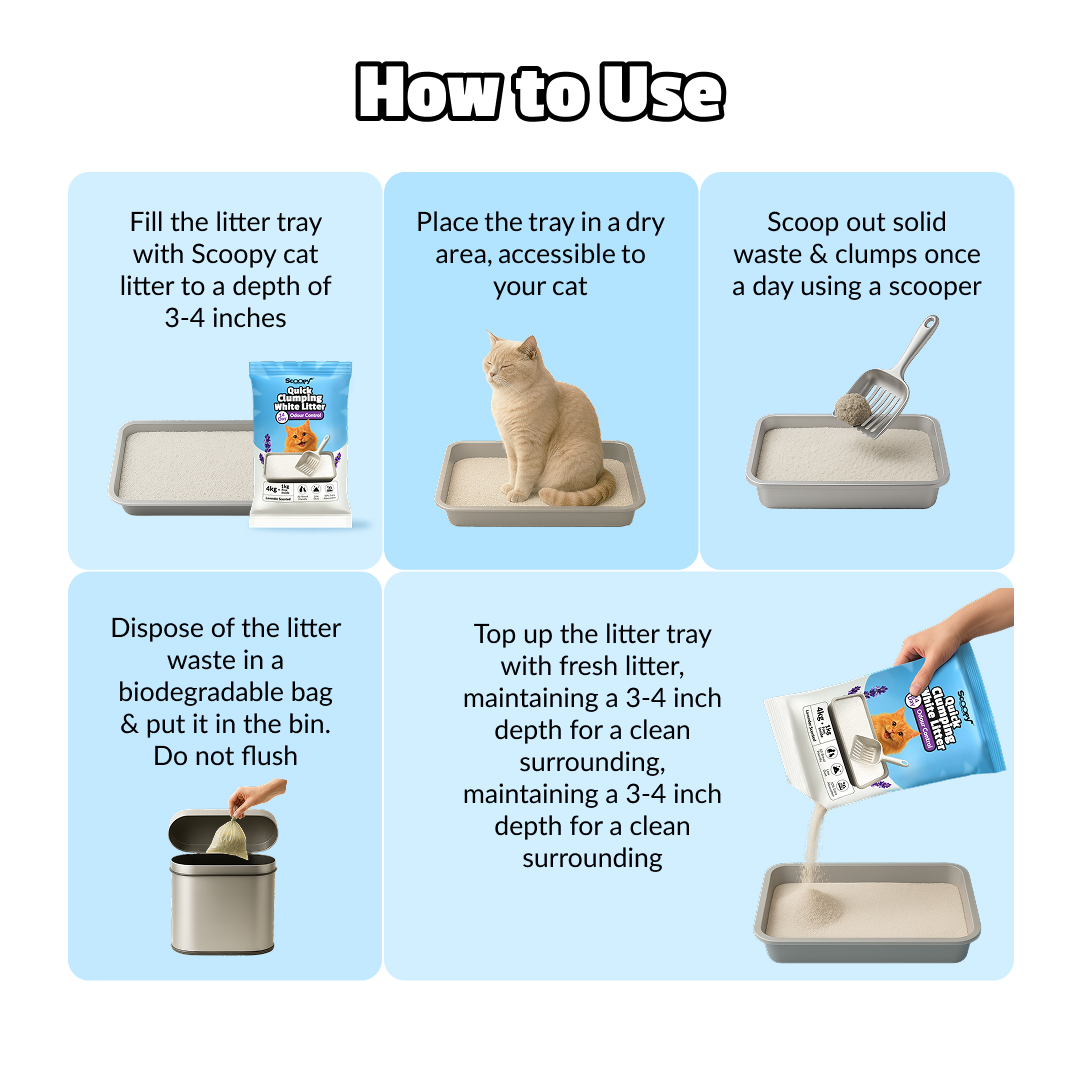 Scoopy Cat Litter | Lavender Scented | Quick Clumping | 100% Natural Bentonite White Sand image 10