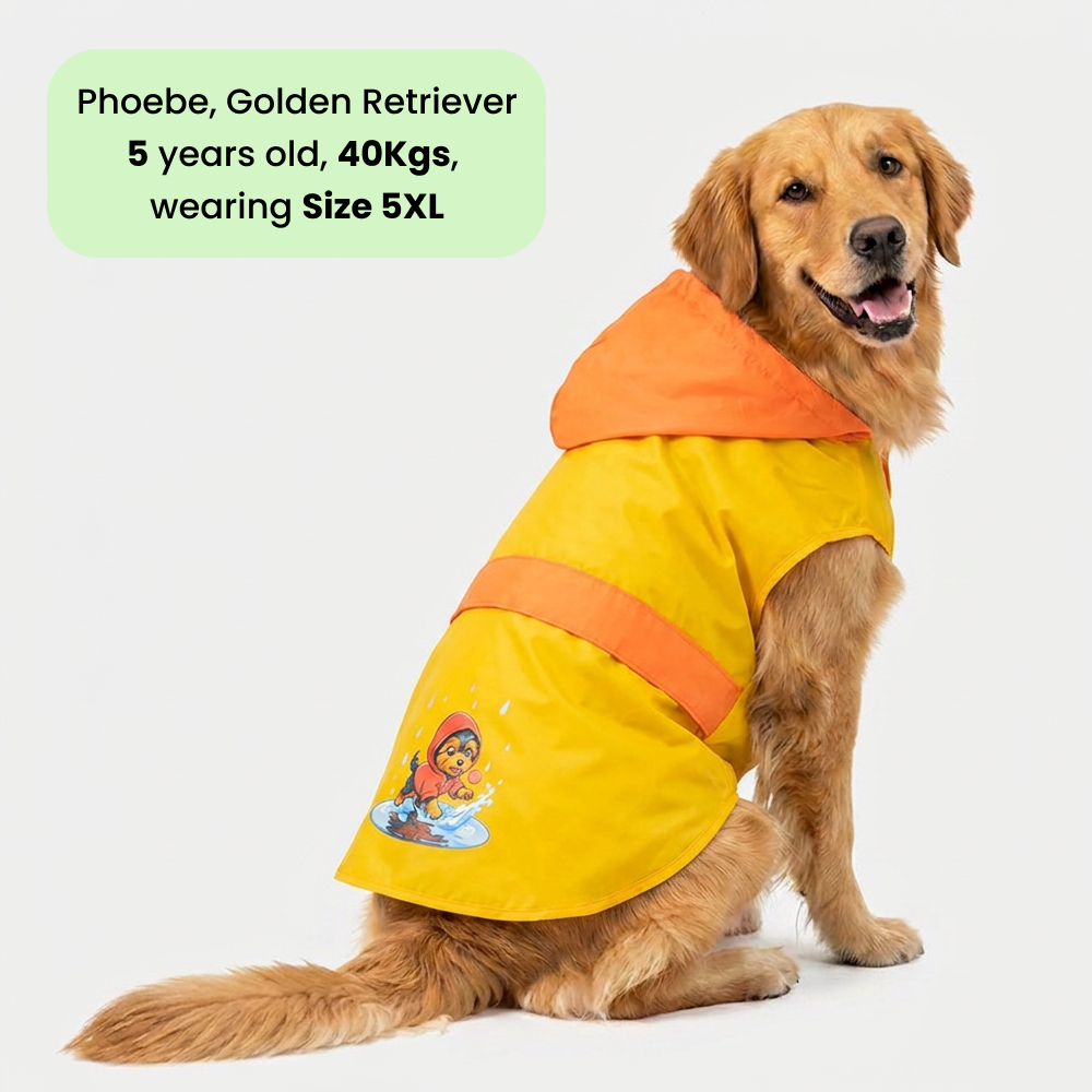 Thunder Dog Raincoat for Dogs (Yellow Orange)