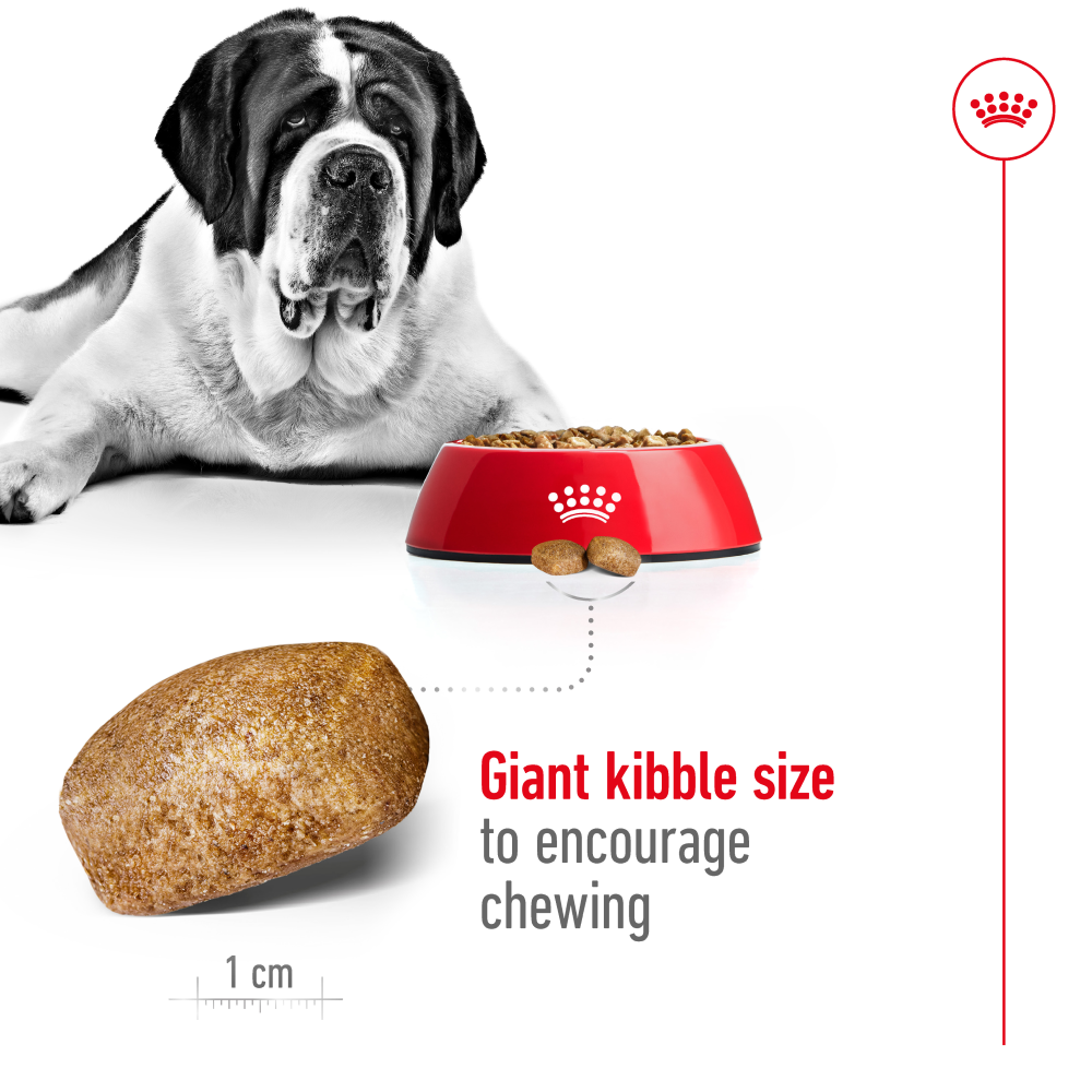 Royal Canin Giant Adult Dog Dry Food image 4