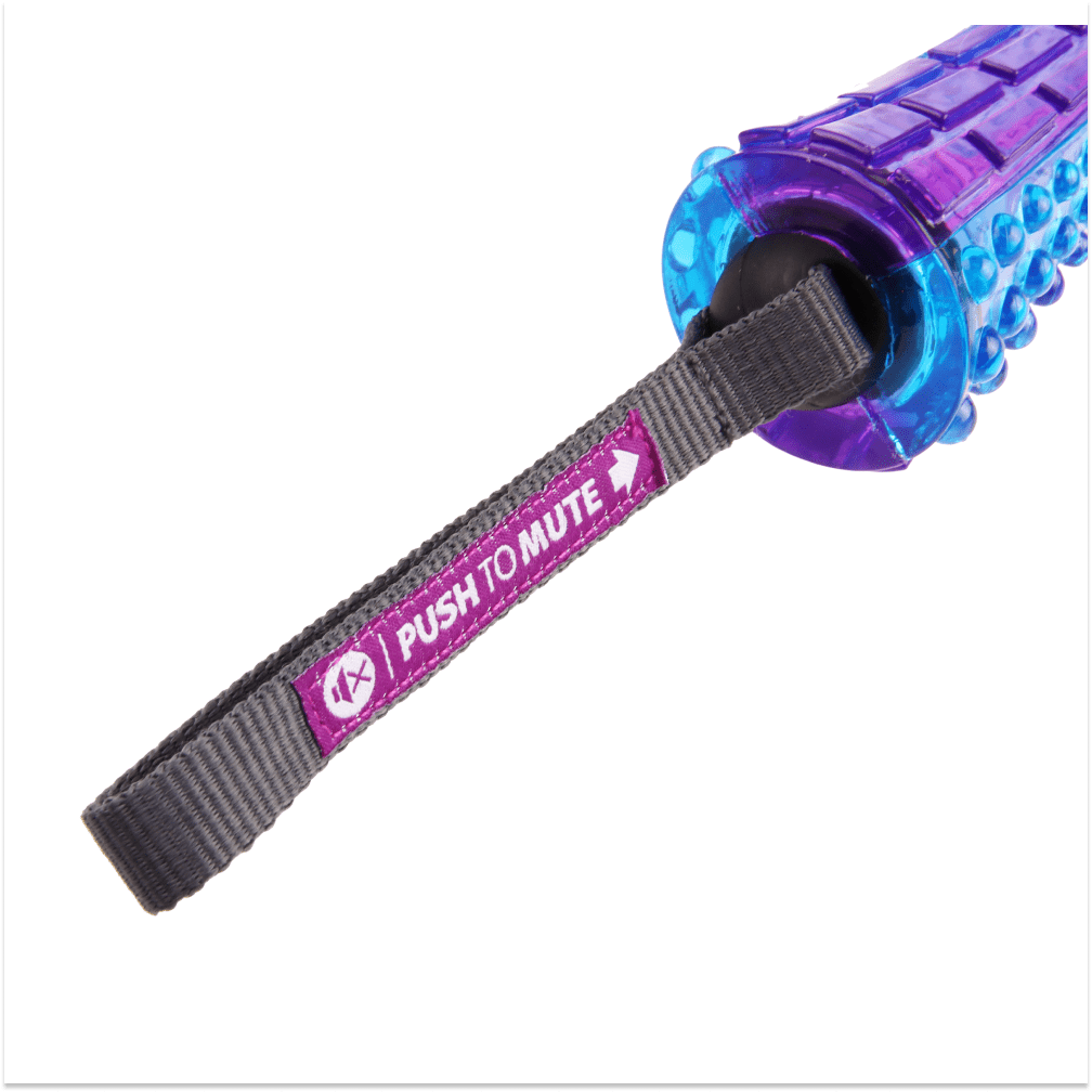 GiGwi Push To Mute Johnny Stick for Dogs (Purple/Blue) image 4