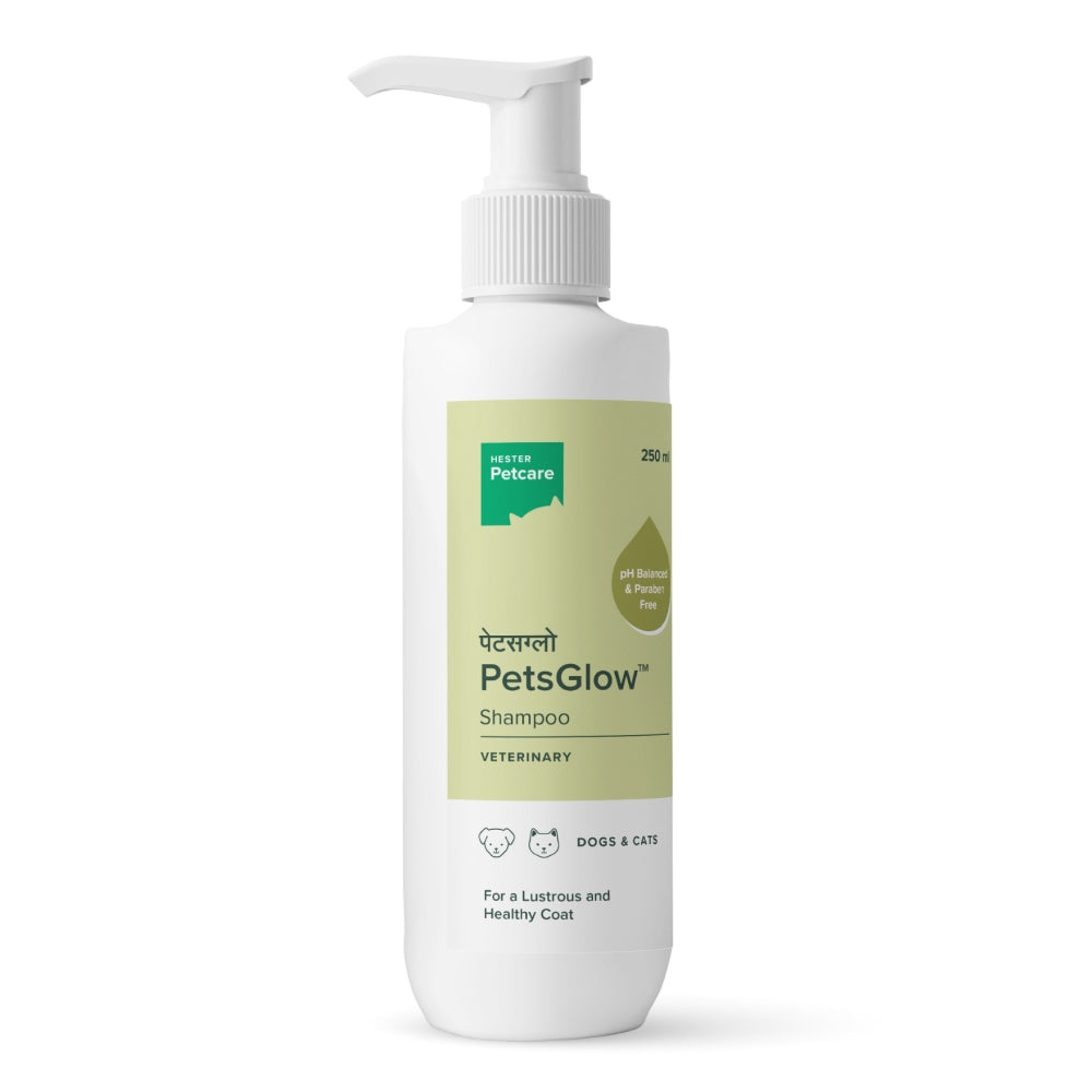 Hester Pets Glow Shampoo for Dogs and Cats 250ml