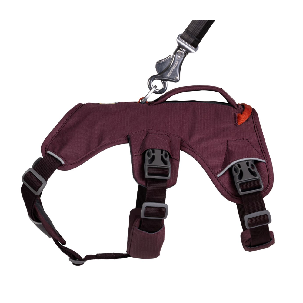 Ruffwear Webmaster Harness for Dogs (Purple Rain) image 3