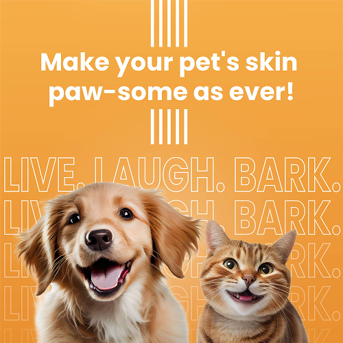 Bark Out Loud Glow and Shine Turmeric Chew Stix for Dogs and Cats image 5