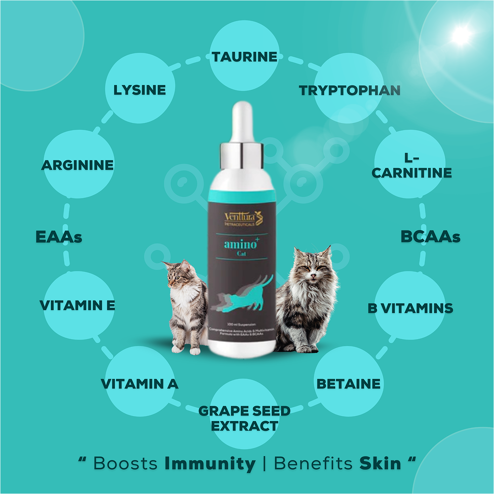 Venttura Amino Acids & Vitamin Supplement for Cats image 2