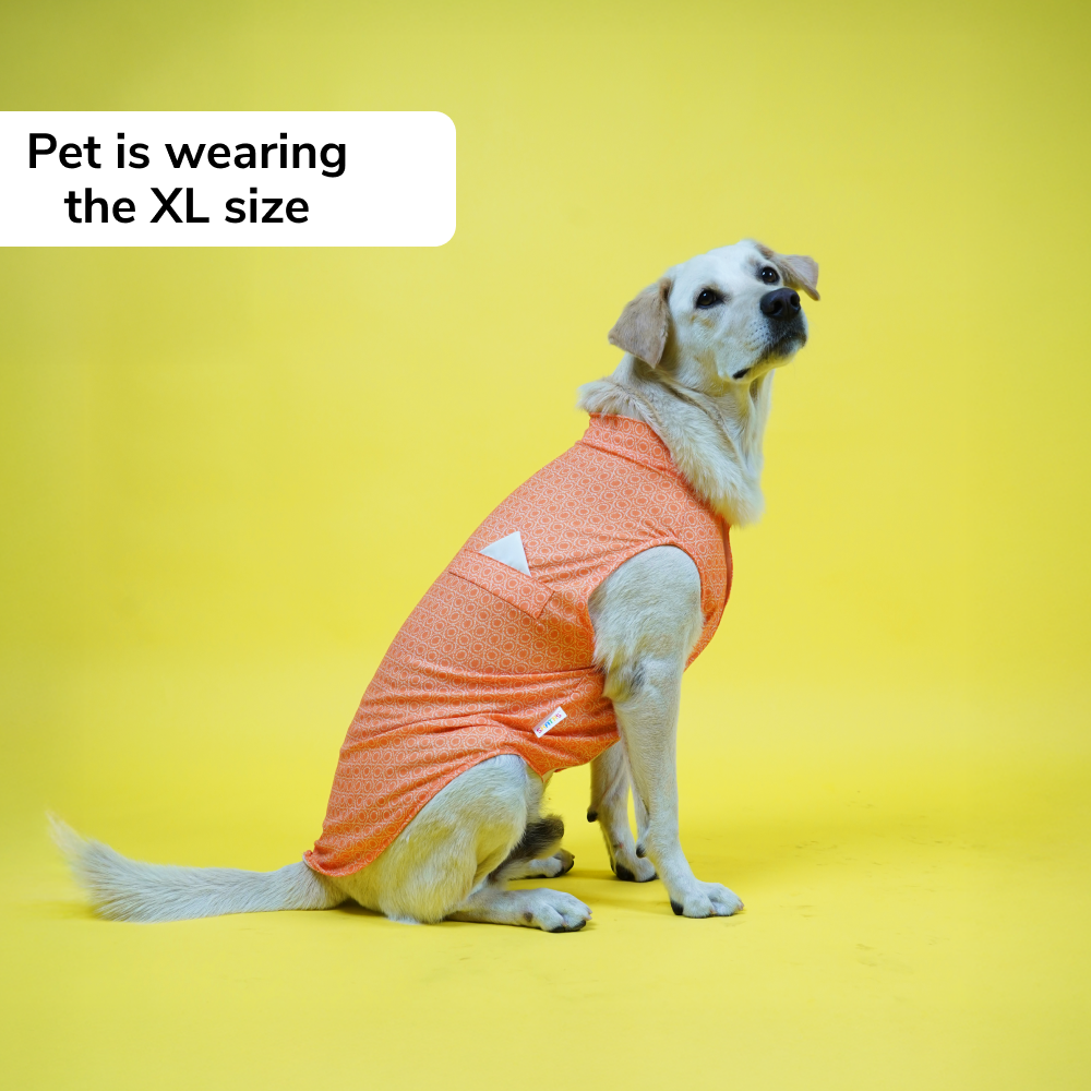 Skatrs Marigold Mandala Printed Kurta for Dogs and Cats (Orange) image 4