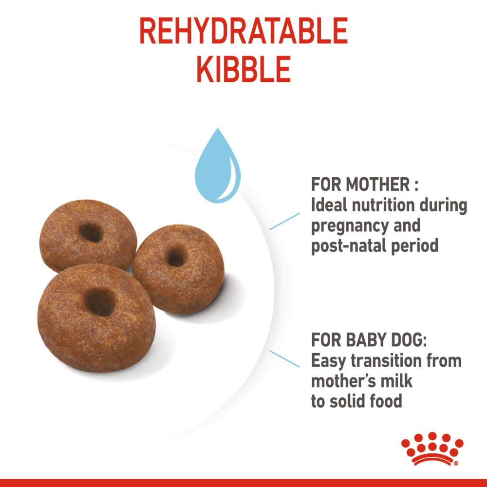 Royal Canin Giant Breed Dog and Puppies Starter Dog Dry Food image 3