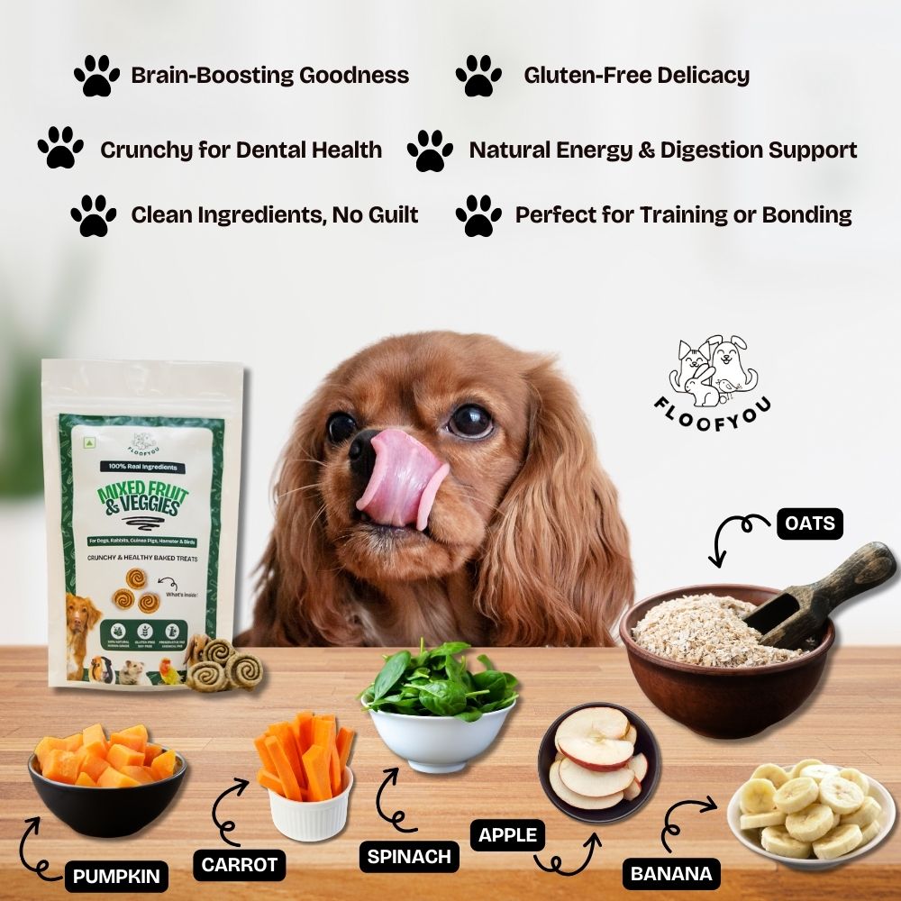 FloofYou Oven Baked Mixed Fruit and Veggies Dog Treats image 5
