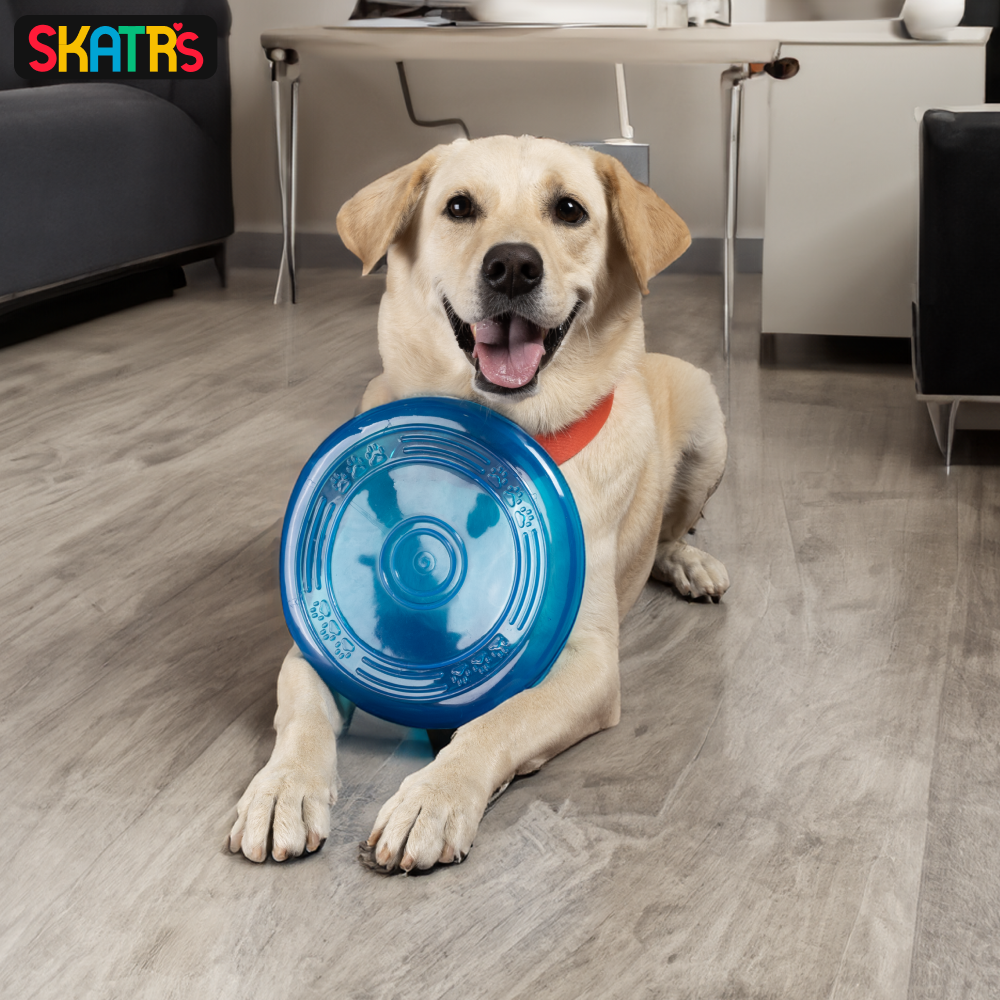 Skatrs Super Flyer Frisbee Toy for Dogs (Blue) image 3
