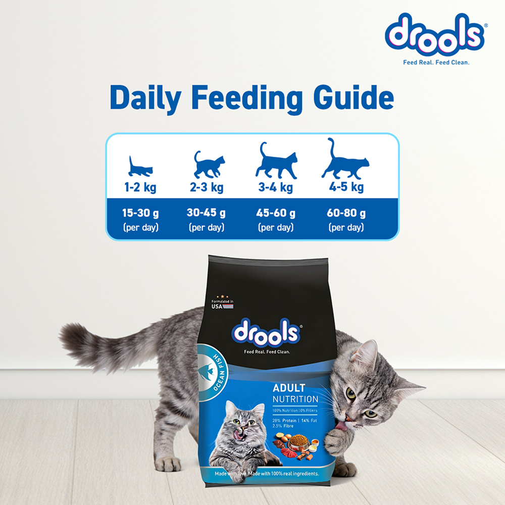 Drools Ocean Fish Adult Cat Dry Food image 7
