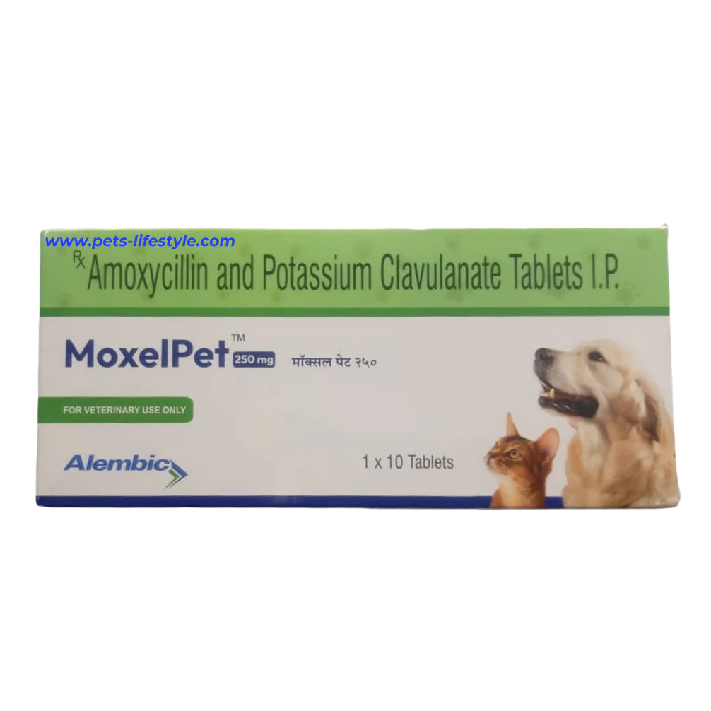 Alembic MoxelPet 250mg (Amoxycillin & Potassium Clavulanate) Tablet for Dogs and Cats