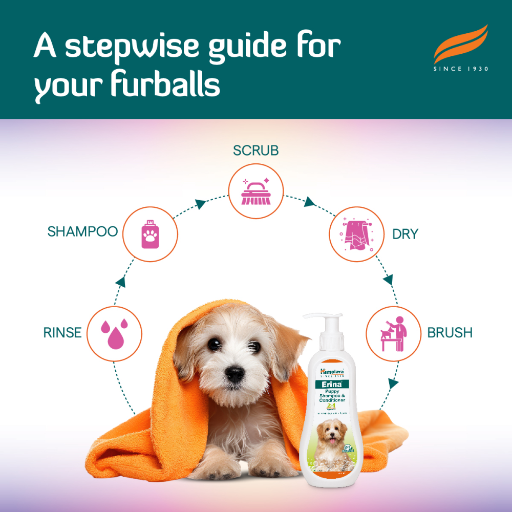 Himalaya Erina Shampoo & Conditioner for Puppies image 4
