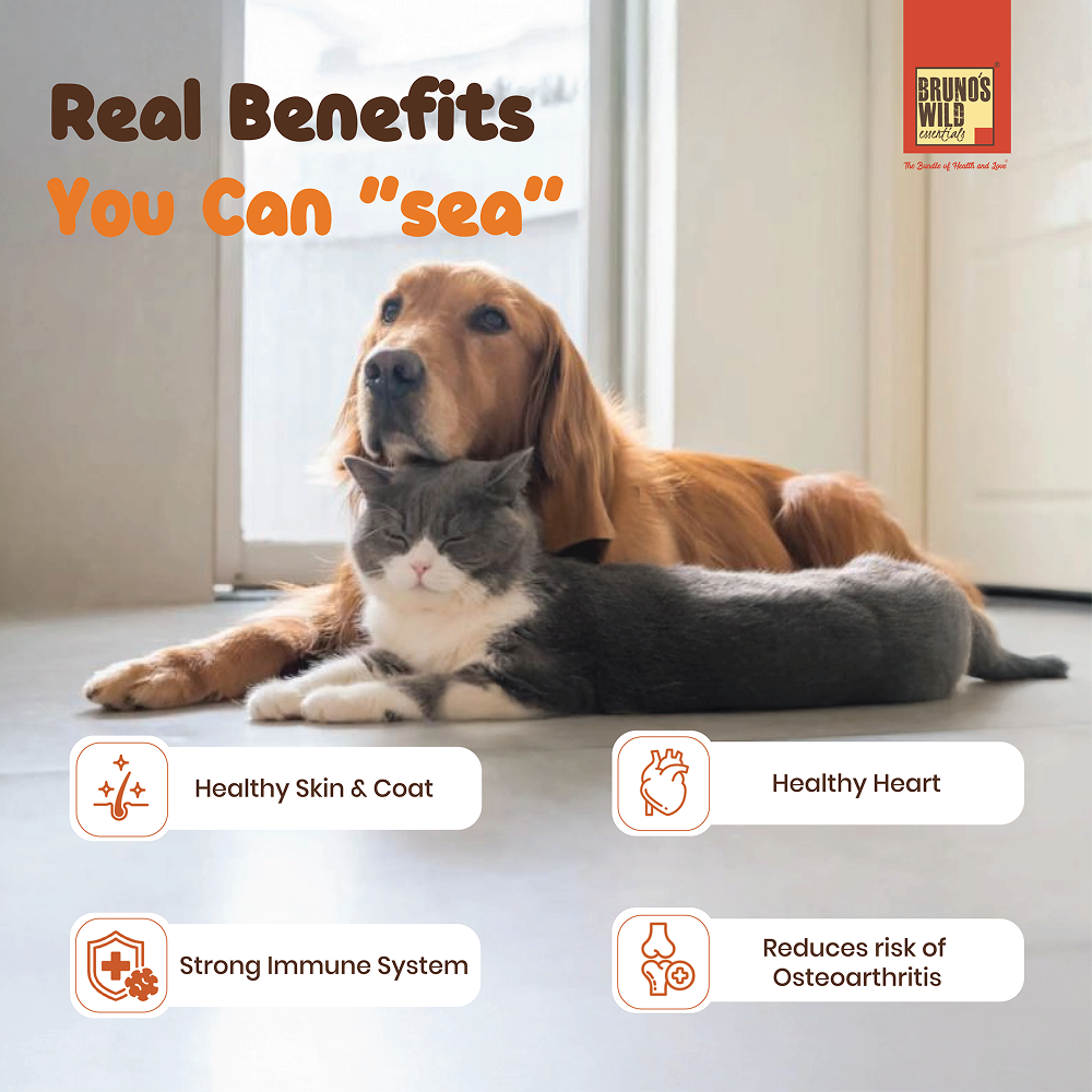Bruno's Wild Essentials Sardine Oil for Dogs and Cats image 2