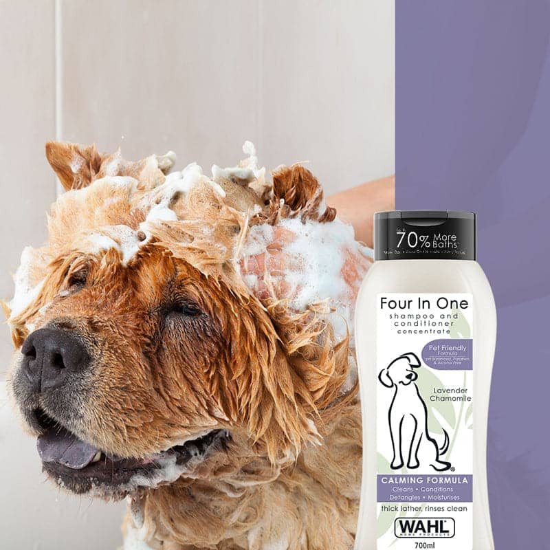 Wahl Four in One Lavender Chamomile Calming Shampoo for Dogs image 9