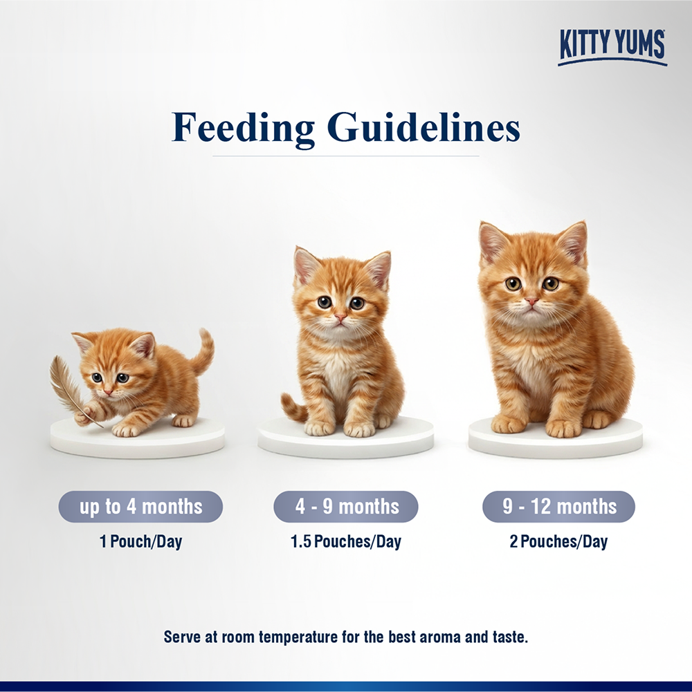 Kitty Yum Chicken Mousse Kitten Cat Wet Food image 5