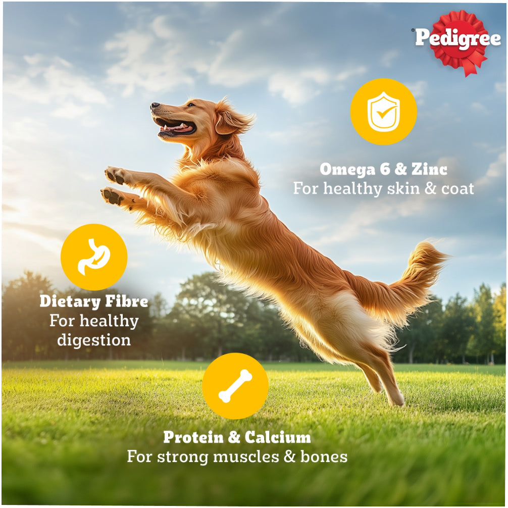 Pedigree Chicken and Liver Chunks in Gravy Adult Dog Wet Food (70g) image 8