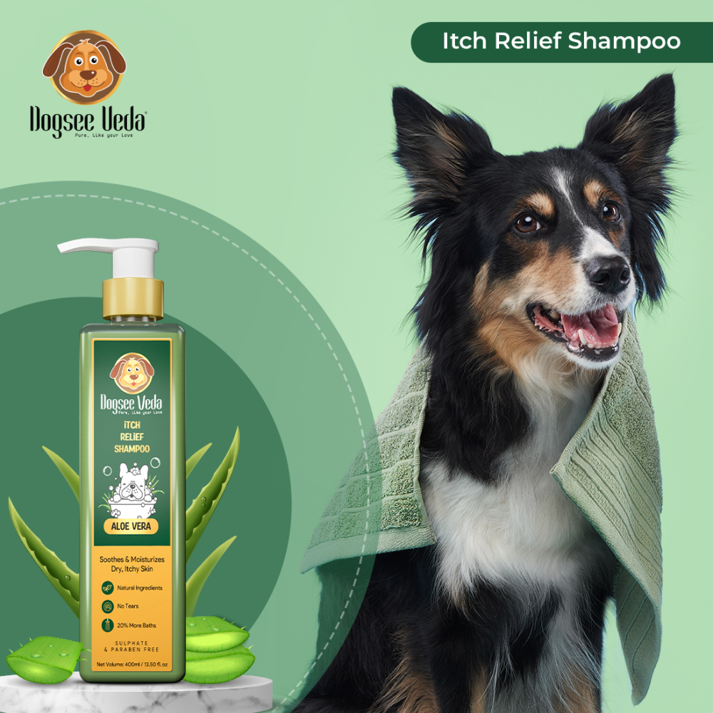 Dogsee Veda ITCH RELIEF Aloe Vera Shampoo for Dogs (200ml) image 9