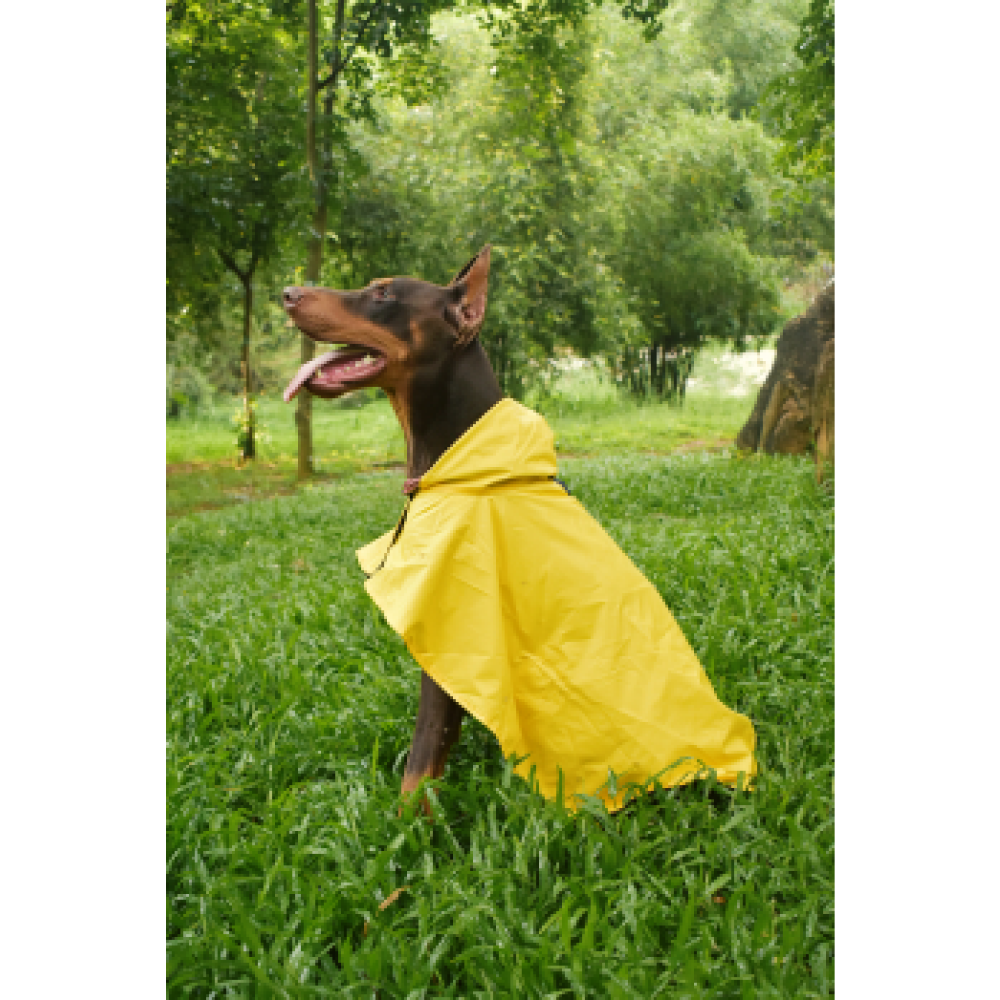 Pet Set Go Cape Style Raincoat for Dogs (Yellow) image 6