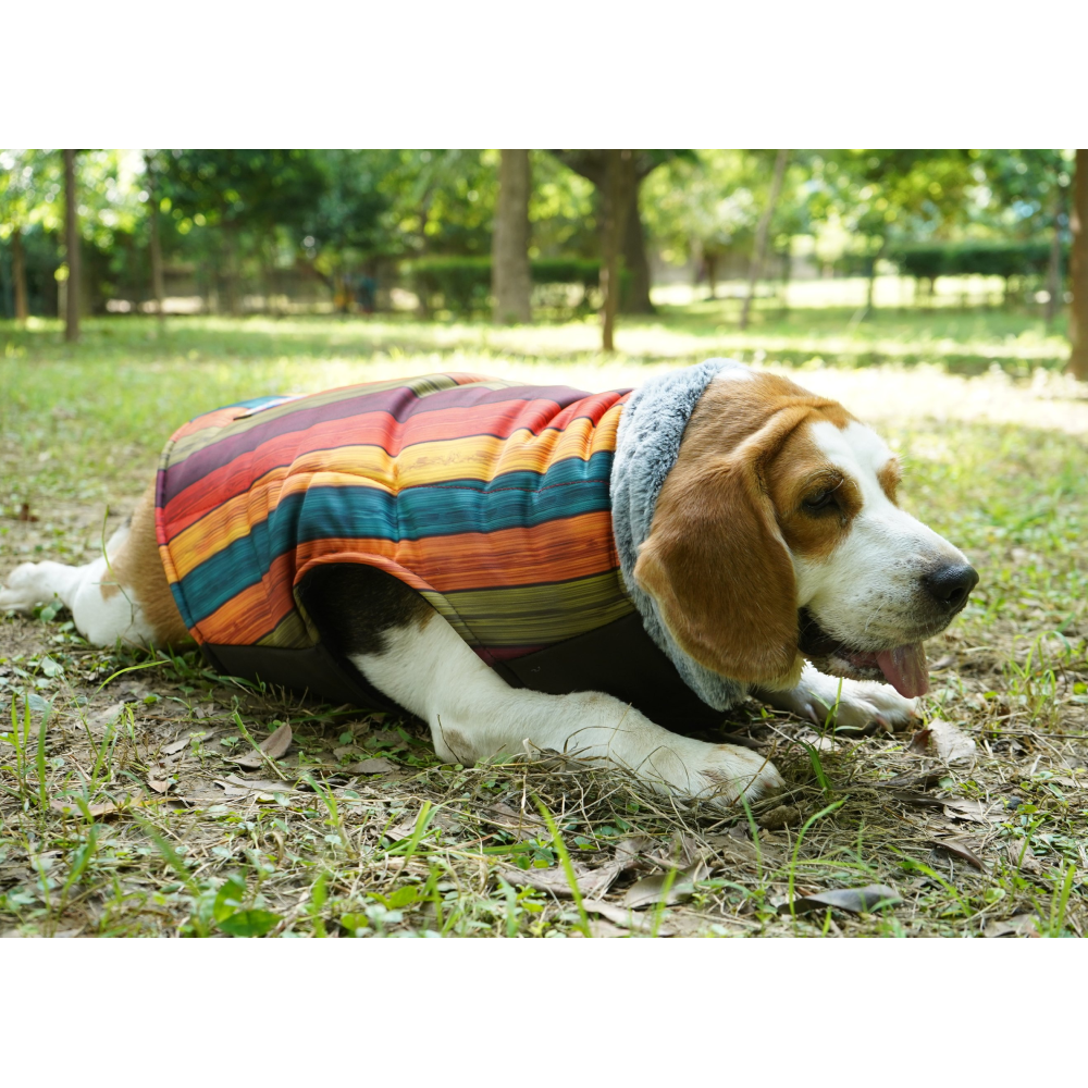 Up4pets Autumn Stripe Polyester Fleece Jackets for Dogs and Cats image 3