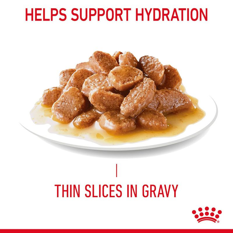 Royal Canin Hair & Skin Care Adult Gravy Cat Wet Food image 5