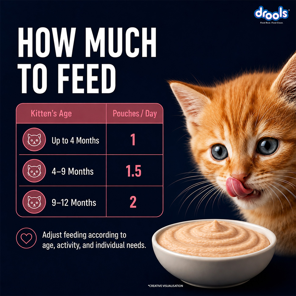 Drools Salmon Mousse Kitten Cat Wet Food image 8