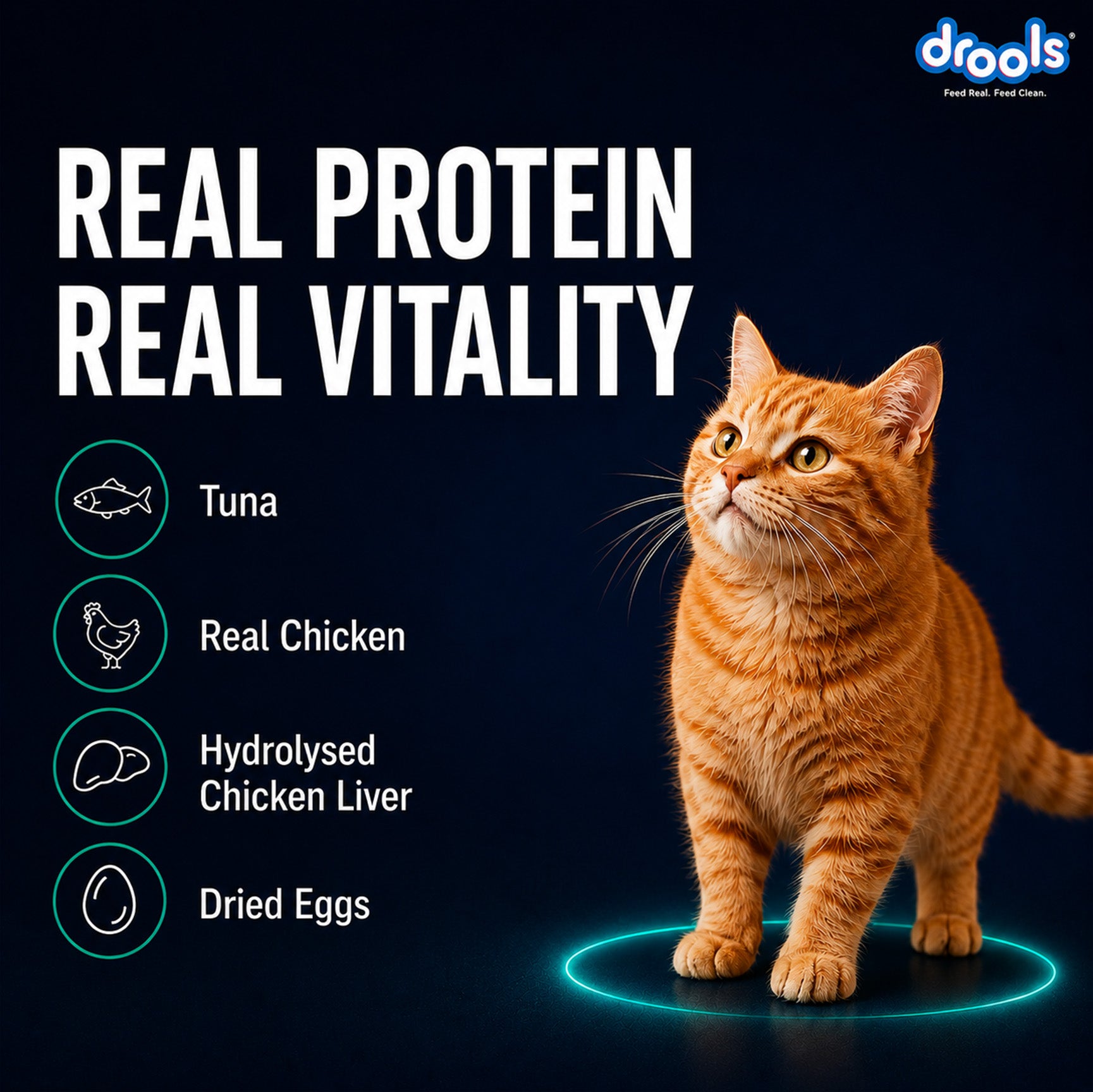 Drools Tuna Mousse Adult Cat Wet Food image 10