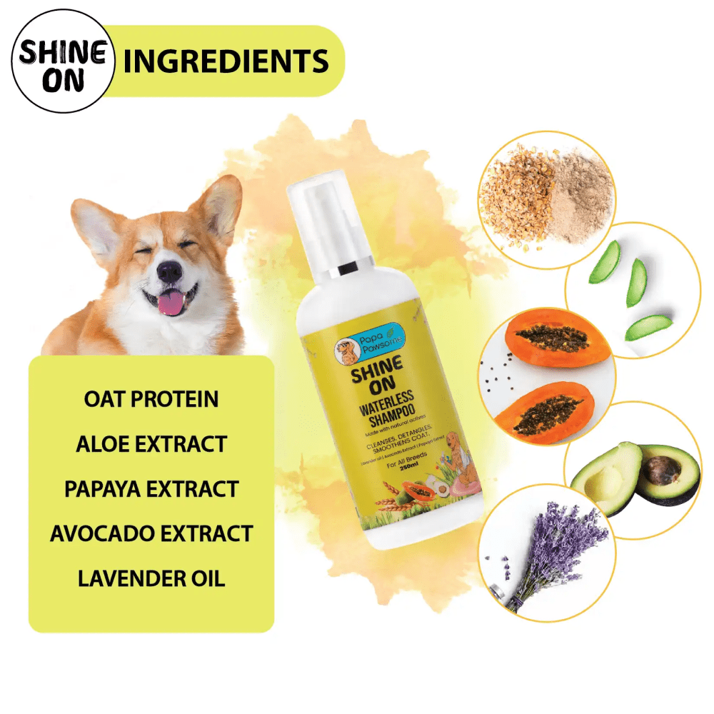 Papa Pawsome Shine On Waterless Shampoo for Dogs image 5