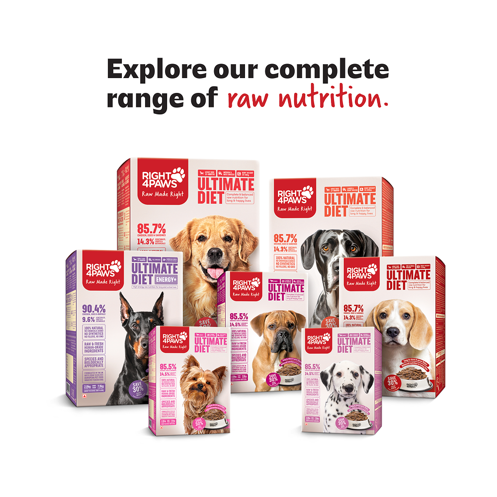 Right4Paws Ultimate Diet Energy+ Adult Dog Dry Food image 3