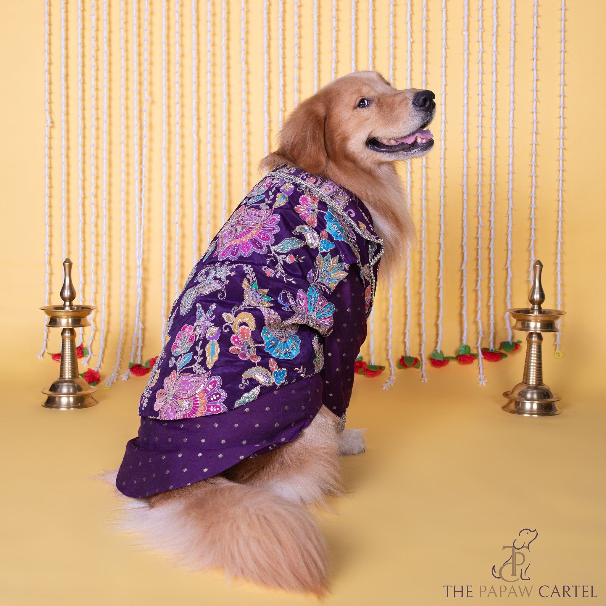 The Papaw Cartel Embroidered Motif Jacket Style Koti Kurta for Dogs & Cats (Purple Paisley) image 2