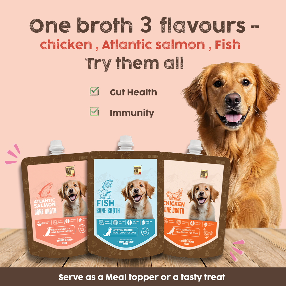 Bruno's Wild Essentials Atlantic Salmon Bone Broth For Dogs image 6