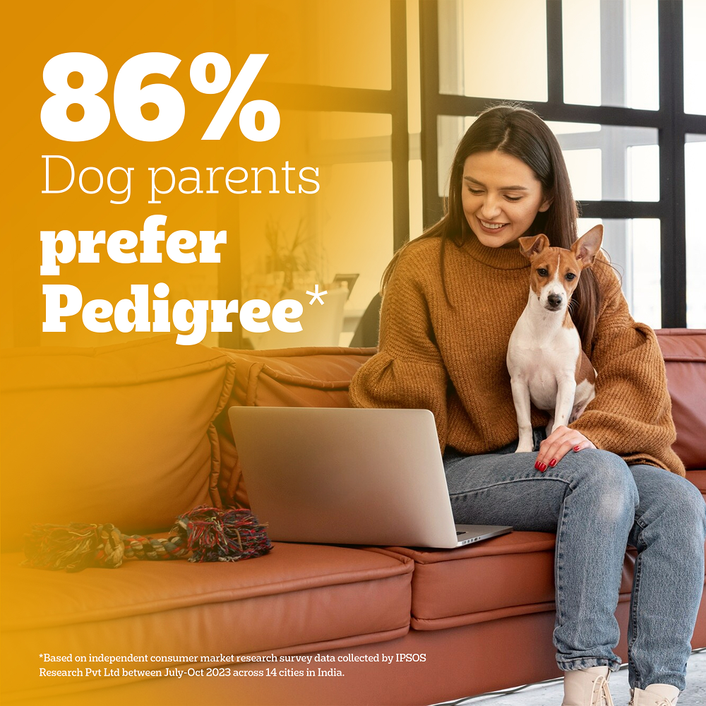 Pedigree Chicken and Milk Puppy Dry Food image 8