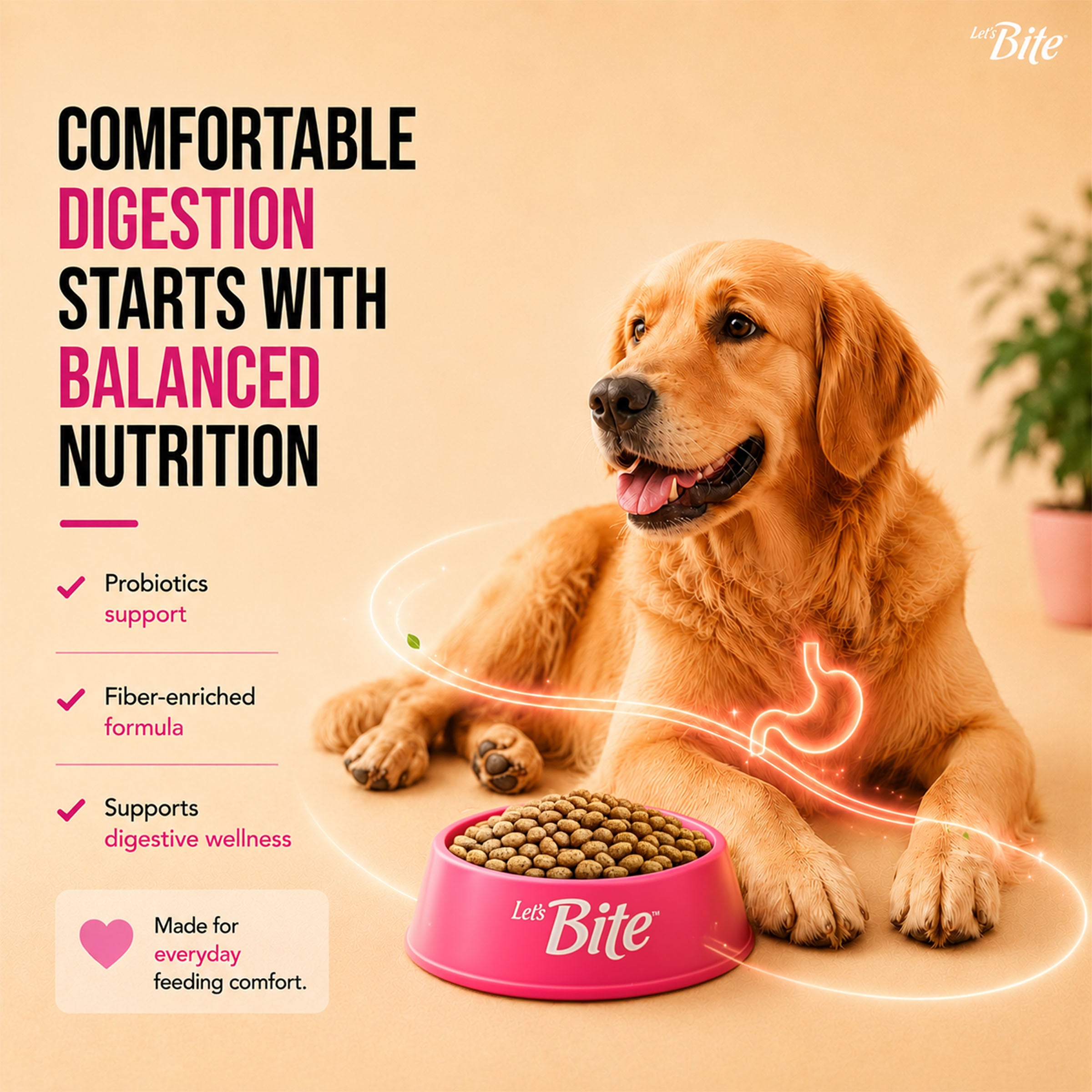 Let's Bite Active Adult Chicken Dry Food for Dogs image 4