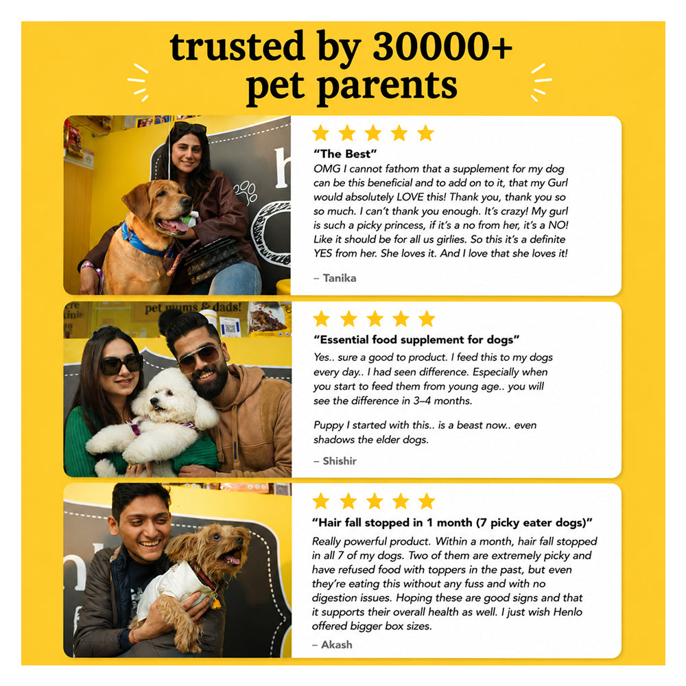 Henlo Everyday Topper for Home Cooked Food | Pre & Probiotic supplements for dogs image 2