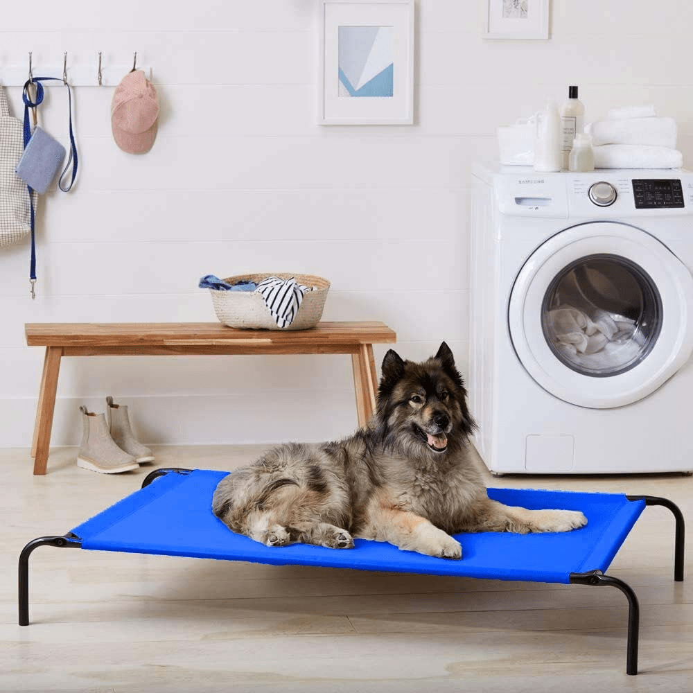 Fluffy's Pawsome Waterproof elevated Sides Camping Bed for Dogs (Blue) image 3