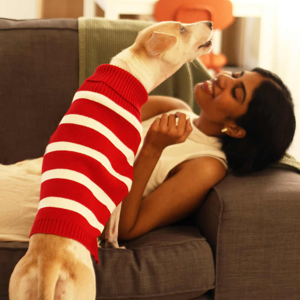 Pet Set Go Striped Sweater for Dogs (Red) image 4