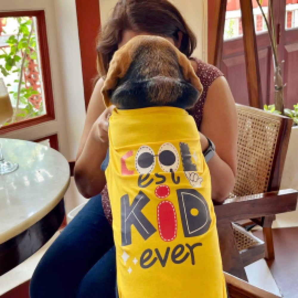 Pet Set Go Coolest Kid Ever Sleeveless T-shirt for Dogs (Yellow) image 2