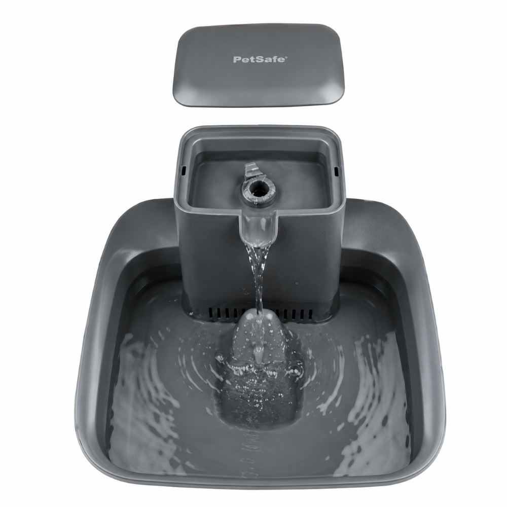 PetSafe Drinkwell Automatic Flowing Water Pet Fountain for Dogs and Cats
