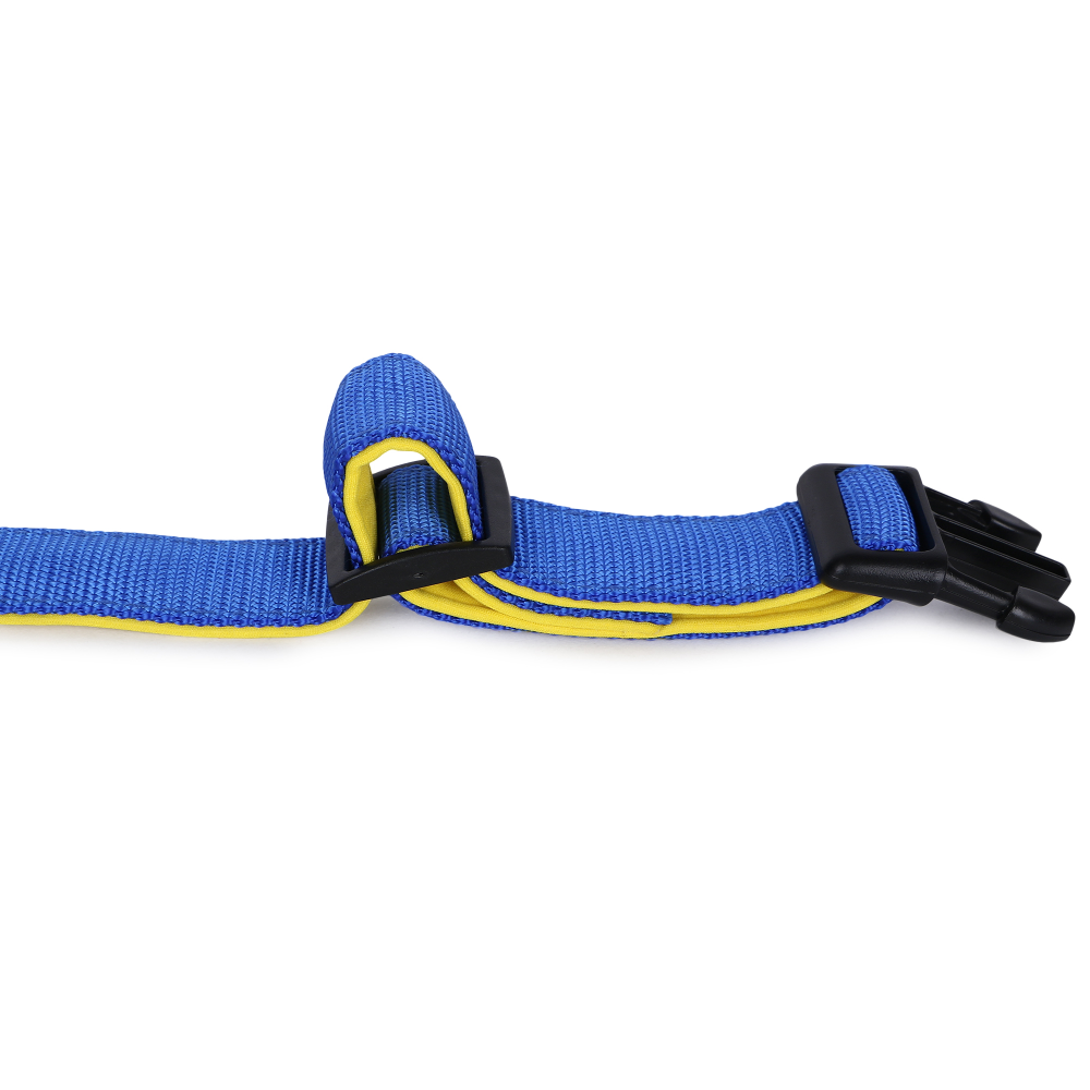 Basil Nylon Padded Collar for Dogs (Blue) image 9