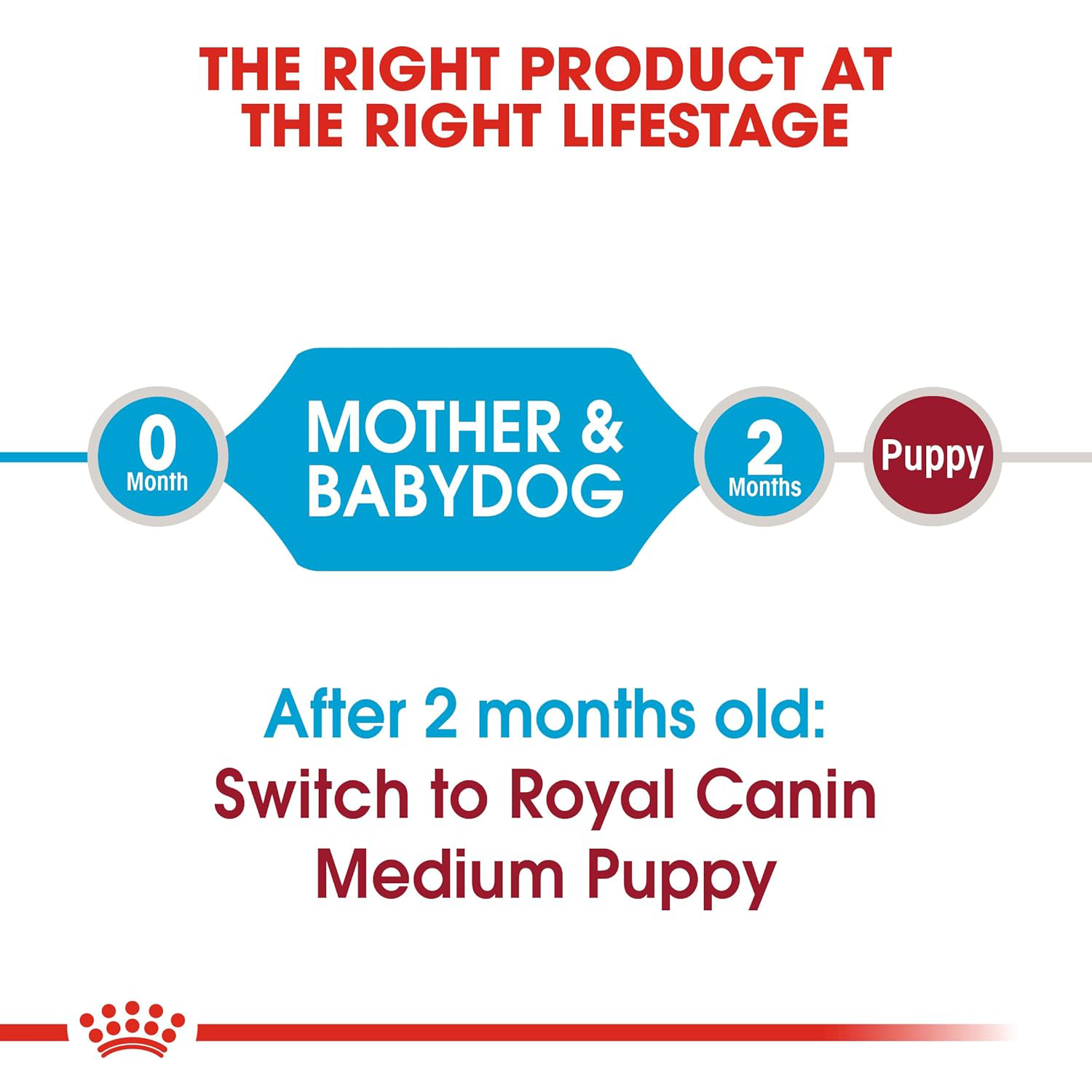 Royal Canin Medium Starter, Mother & Babydog Dry Food image 3