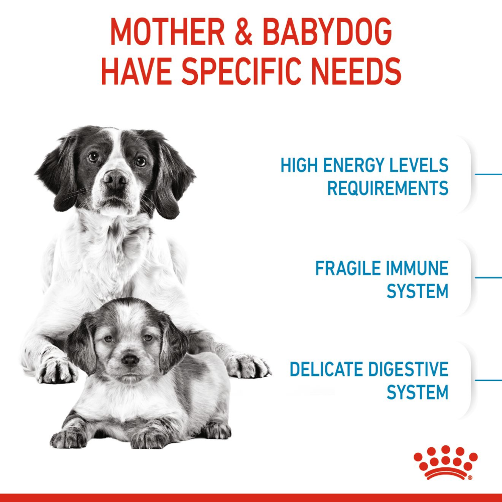 Royal Canin Medium Starter Dry Food for Medium Breed Dog and Puppies image 4