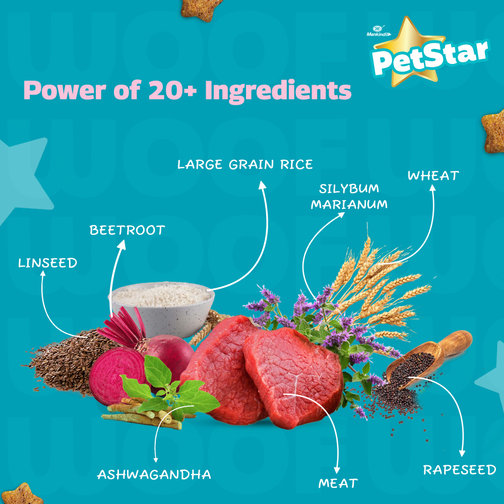 Mankind Petstar Meat and Wheat Adult Dog Dry Food image 4