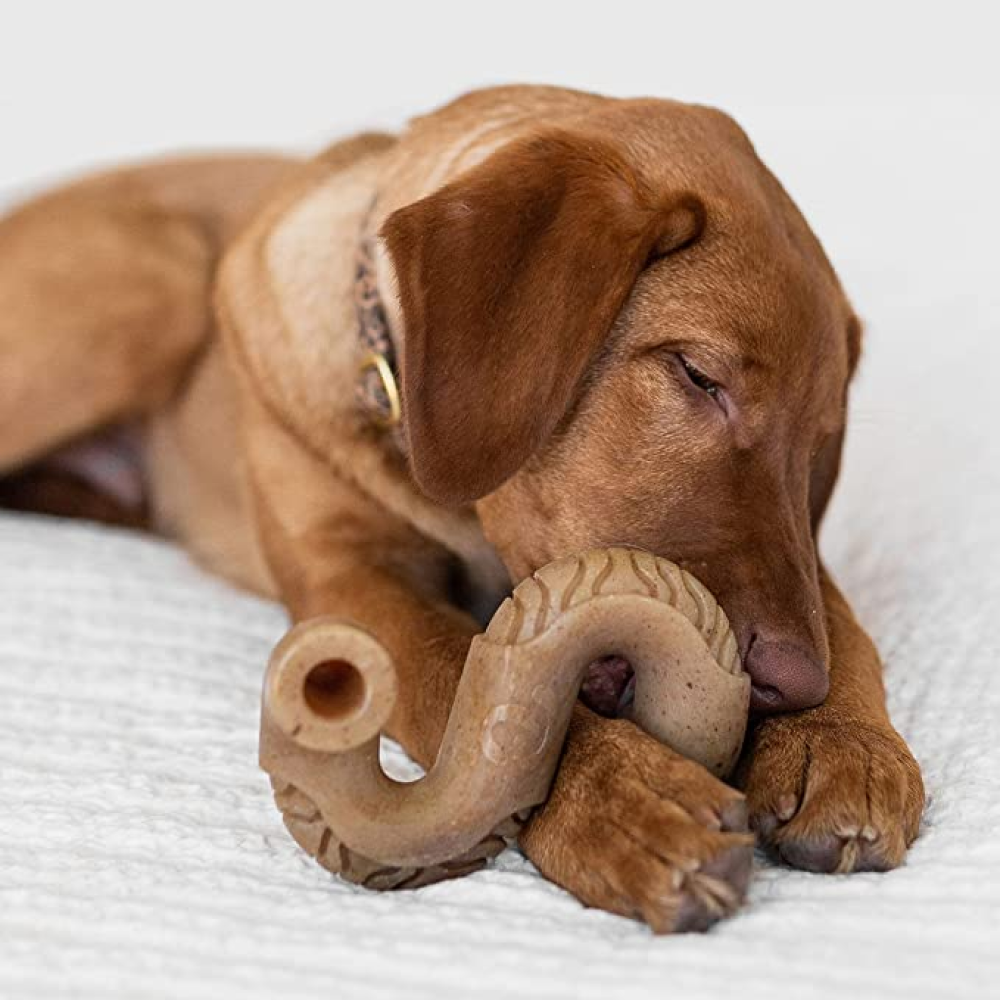 Benebone Tripe Bone Chew Toy for Aggressive Chewers Dogs image 2